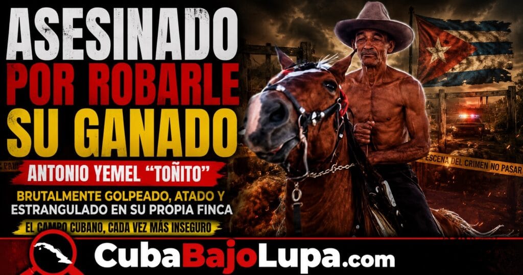 CUBANO ES ASESINADO EN GUANTÁNAMO CUANDO LADRONES ENTRARON A SU FINCA PARA ROBARLE SU GANADO