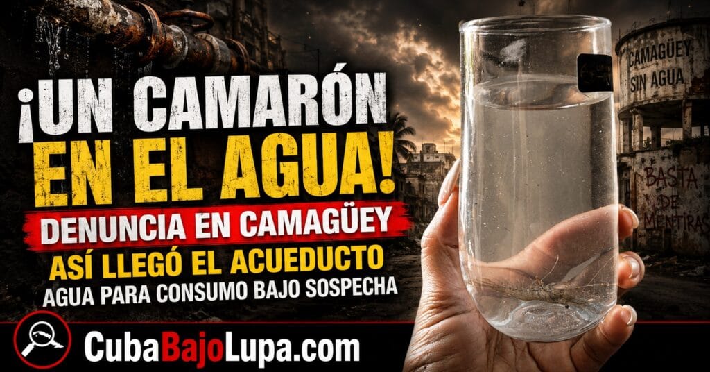 ¡DEL ACUEDUCTO SALIÓ HASTA UN CAMARÓN! DENUNCIA INDIGNA A VECINOS EN CAMAGÜEY