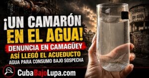 ¡DEL ACUEDUCTO SALIÓ HASTA UN CAMARÓN! DENUNCIA INDIGNA A VECINOS EN CAMAGÜEY