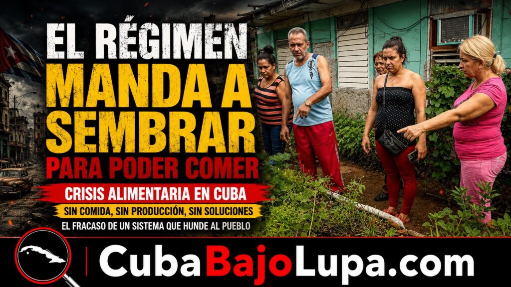 EL RÉGIMEN MANDA A LOS CUBANOS A SEMBRAR COMIDA EN SUS PATIOS PARA QUE PUEDAN COMER