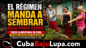 EL RÉGIMEN MANDA A LOS CUBANOS A SEMBRAR COMIDA EN SUS PATIOS PARA QUE PUEDAN COMER