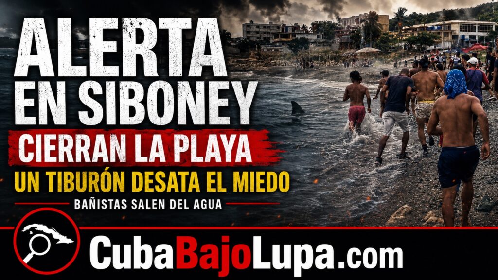 CIERRAN TEMPORALMENTE PLAYA SIBONEY, EN SANTIAGO DE CUBA, TRAS AVISTAMIENTO DE UN TIBURÓN