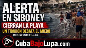 CIERRAN TEMPORALMENTE PLAYA SIBONEY, EN SANTIAGO DE CUBA, TRAS AVISTAMIENTO DE UN TIBURÓN