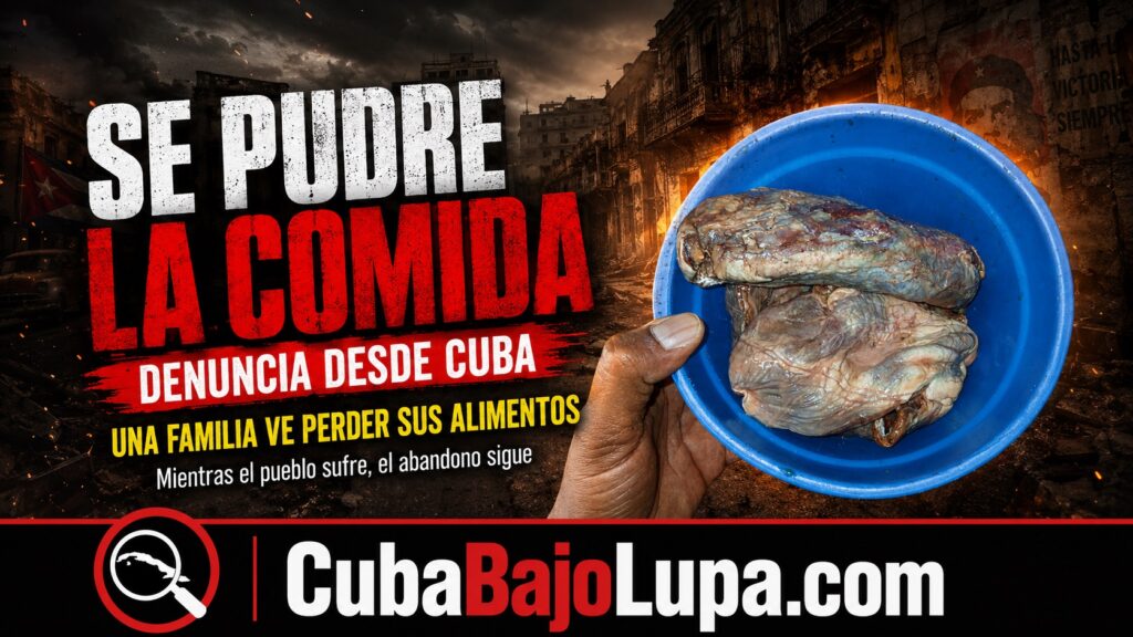 “MIREN CÓMO SE PUDRE LA COMIDA”: FAMILIA CUBANA DENUNCIA LA PÉRDIDA DE SUS ALIMENTOS POR LOS APAGONES