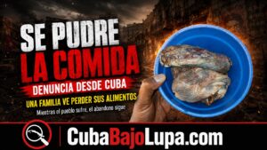 “MIREN CÓMO SE PUDRE LA COMIDA”: FAMILIA CUBANA DENUNCIA LA PÉRDIDA DE SUS ALIMENTOS POR LOS APAGONES