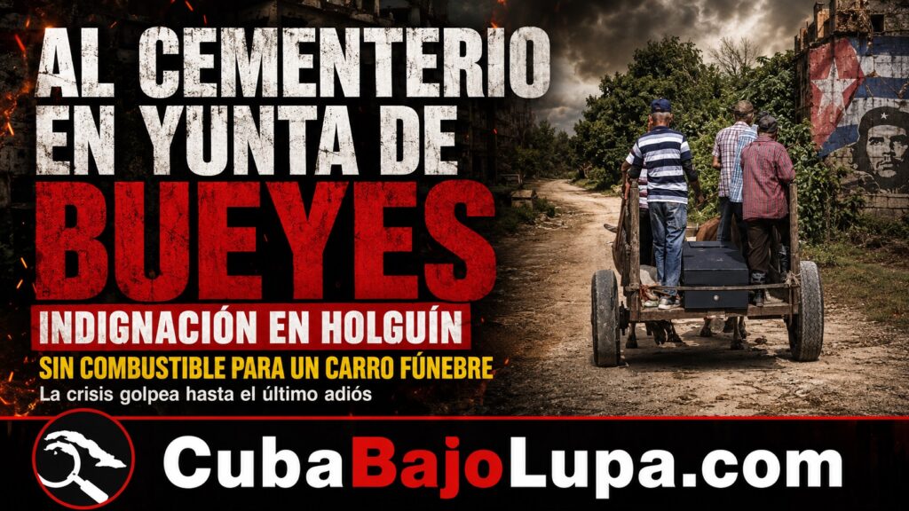 CUBANA ES LLEVADA EN UNA YUNTA DE BUEYES AL CEMENTERIO EN HOLGUÍN PUES LA FUNERARIA DIJO QUE NO TENÍA COMBUSTIBLE PARA EL CARRO FÚNEBRE