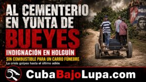 CUBANA ES LLEVADA EN UNA YUNTA DE BUEYES AL CEMENTERIO EN HOLGUÍN PUES LA FUNERARIA DIJO QUE NO TENÍA COMBUSTIBLE PARA EL CARRO FÚNEBRE