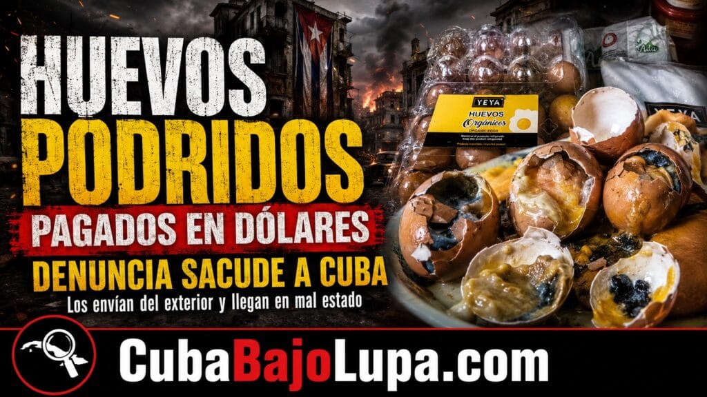 CUBANA EN EL EXTRANJERO COMPRA HUEVOS PARA SU MADRE EN CUBA POR SUPERMARKET23 Y LE LLEGAN CARTONES PODRIDOS A LA CASA