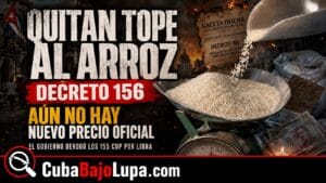 EL RÉGIMEN QUITA EL TOPE DE PRECIO AL ARROZ Y DEJA ABIERTA LA PUERTA A LA OFERTA Y DEMANDA