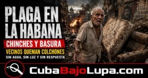 LA HABANA ENTRE CHINCHES: VECINOS QUEMAN COLCHONES Y MUEBLES PARA FRENAR LA PLAGA