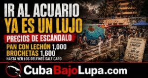 UNA SALIDA AL ACUARIO NACIONAL DE CUBA SE CONVIERTE EN UN LUJO QUE POCAS FAMILIAS PUEDEN PAGAR A SUS HIJOS