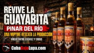 RÉGIMEN DEJA LA PRODUCCIÓN DE LA FAMOSA GUAYABITA DEL PINAR EN MANOS DE UN MIPYME PRIVADA POR PRIMERA VEZ DESDE 1959
