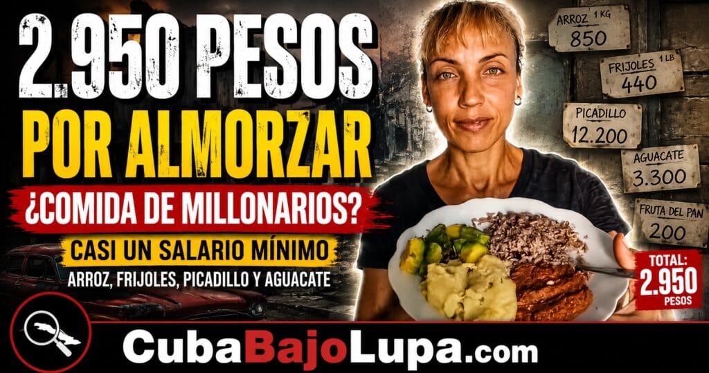 “ALMUERZO DE MILLONARIOS”: UNA CUBANA GASTA 2.950 PESOS EN ARROZ, FRIJOLES, PICADILLO Y AGUACATE
