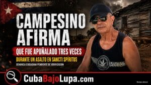 CAMPESINO DENUNCIA QUE FUE APUÑALADO DURANTE EL ROBO DE UN CERDO EN SANCTI SPÍRITUS