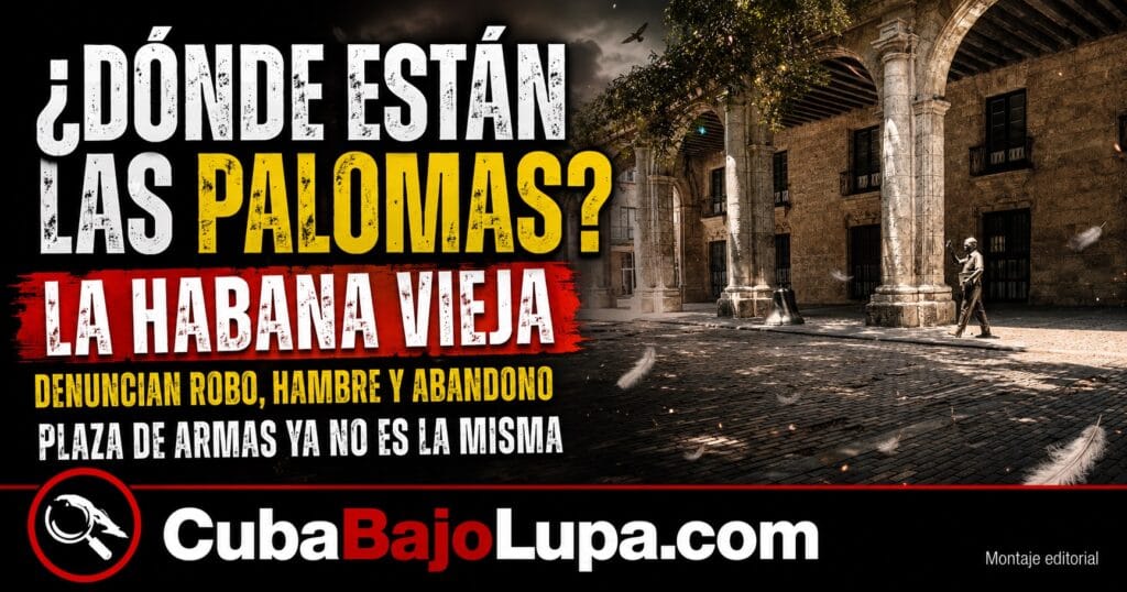“¿SE COMIERON LAS PALOMAS?”: LA PREGUNTA QUE DESTAPÓ LA DURA REALIDAD EN LA HABANA VIEJA ABANDONADA TRAS FALLECER EUSEBIO LEAL