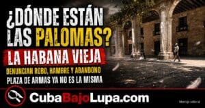 “¿SE COMIERON LAS PALOMAS?”: LA PREGUNTA QUE DESTAPÓ LA DURA REALIDAD EN LA HABANA VIEJA ABANDONADA TRAS FALLECER EUSEBIO LEAL