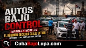 DESDE AHORA, EL RÉGIMEN APROBARÁ QUE MARCAS Y MODELOS DE VEHÍCULOS PODRÁN IMPORTARSE AL PAÍS