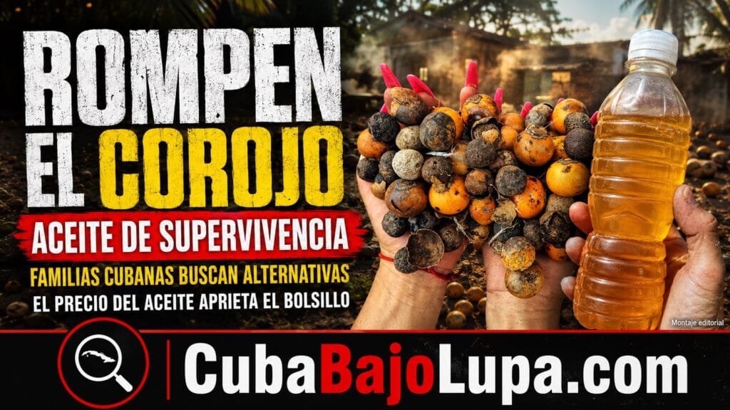 CUBANOS VUELVEN AL ACEITE DE COROJO ANTE PRECIOS DEL ACEITE DE SOYA QUE NO APARECE Y SUS PRECIOS ANDAN POR LAS NUBES