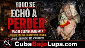 MADRE CUBANA DENUNCIA QUE LOS APAGONES LE ARRUINARON LA COMIDA: “¿CÓMO LE EXPLICAS A TUS HIJOS QUE NO HAY?”