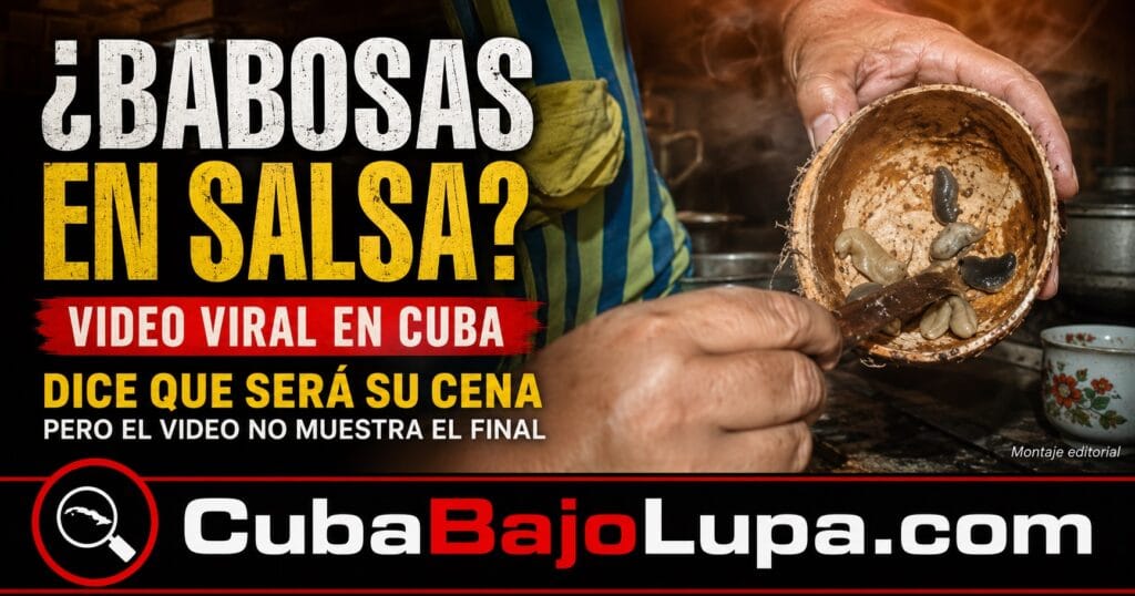 CUBANA MUESTRA COMO PREPARA BABOSAS EN SALSA PARA LA COMIDA ANTE EL AUMENTO DEL PRECIO DE LA CARNE EN LA ISLA