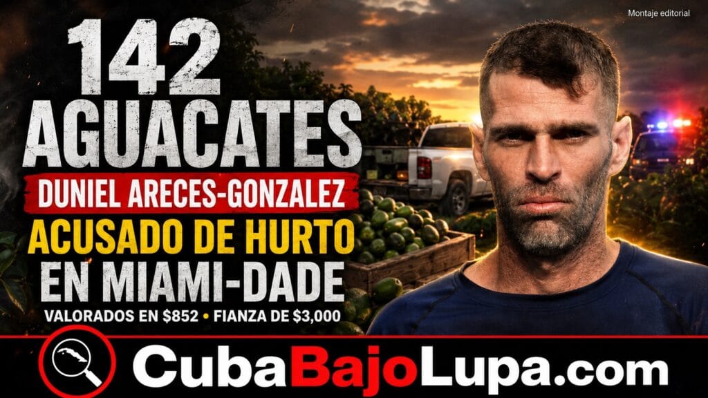 LO ACUSAN DE ROBAR 142 AGUACATES EN MIAMI-DADE: CUBANO DE HIALEAH TERMINA DETENIDO