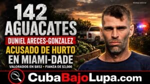 LO ACUSAN DE ROBAR 142 AGUACATES EN MIAMI-DADE: CUBANO DE HIALEAH TERMINA DETENIDO