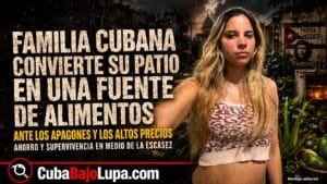UNA FAMILIA CUBANA CONVIERTE SU PATIO EN HUERTO PARA ALIVIAR LA ESCASEZ DE ALIMENTOS: “NOS AHORRAMOS MUCHÍSIMO DINERO”