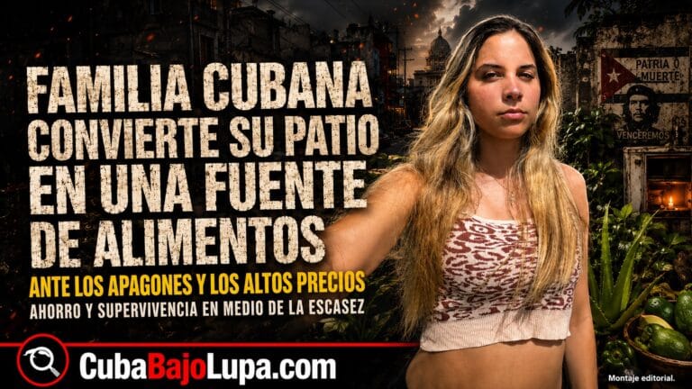 UNA FAMILIA CUBANA CONVIERTE SU PATIO EN HUERTO PARA ALIVIAR LA ESCASEZ DE ALIMENTOS: “NOS AHORRAMOS MUCHÍSIMO DINERO”