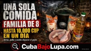 ARROZ, POLLO Y ACEITE: LA CUENTA QUE MUESTRA CUÁNTO CUESTA ALIMENTAR A UNA FAMILIA EN CUBA