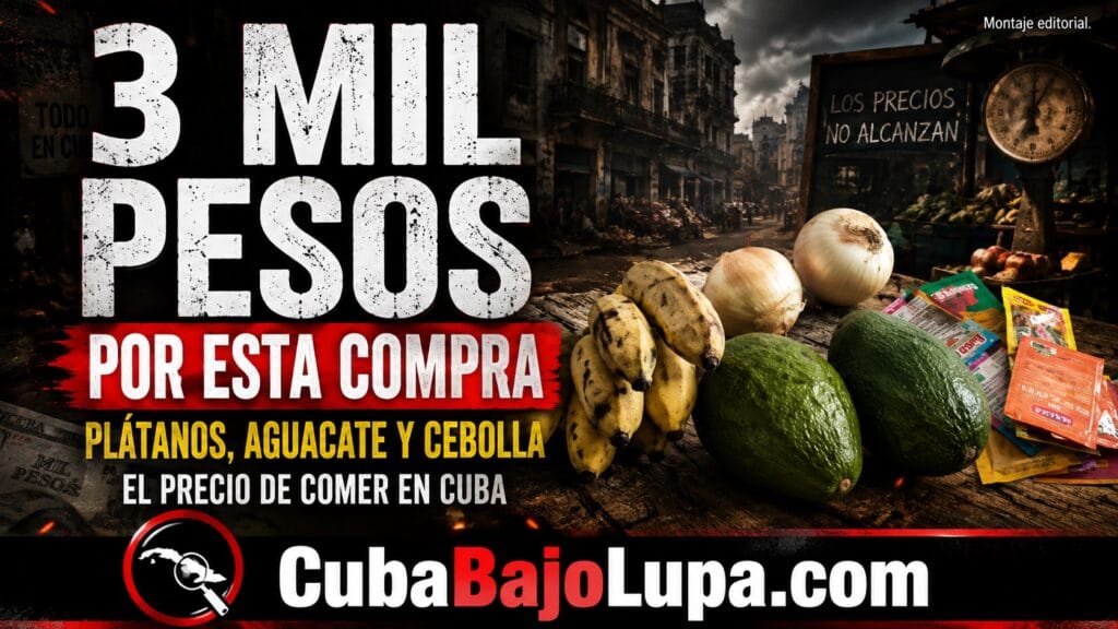 3.000 PESOS POR PLÁTANOS, DOS AGUACATES Y DOS CEBOLLAS: ASÍ GOLPEA EL PRECIO DE LOS ALIMENTOS EN CUBA