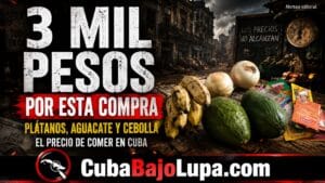 3.000 PESOS POR PLÁTANOS, DOS AGUACATES Y DOS CEBOLLAS: ASÍ GOLPEA EL PRECIO DE LOS ALIMENTOS EN CUBA