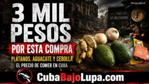 3.000 PESOS POR PLÁTANOS, DOS AGUACATES Y DOS CEBOLLAS: ASÍ GOLPEA EL PRECIO DE LOS ALIMENTOS EN CUBA