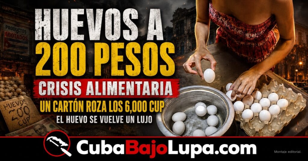 EL HUEVO SE CONVIERTE EN UN LUJO EN CUBA: REPORTAN PRECIOS DE HASTA 320 PESOS POR UNIDAD