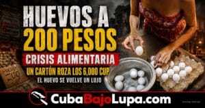 EL HUEVO SE CONVIERTE EN UN LUJO EN CUBA: REPORTAN PRECIOS DE HASTA 320 PESOS POR UNIDAD