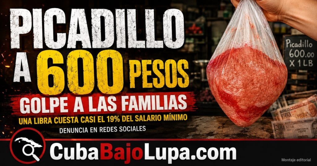 EL PICADILLO DE POLLO AGRANEL YA CUESTA HASTA 600 PESOS LA LIBRA: LA PROTEÍNA MÁS BARATA TAMBIÉN VA SIENDO UN LUJO EN CUBA