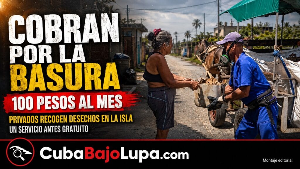 LA RECOGIDA DE BASURA SE CONVIERTE EN UNA NEGOCIO EN MANOS PRIVADAS EN LA ISLA DE LA JUVENTUD: 100 PESOS MENSUALES POR VIVIENDA
