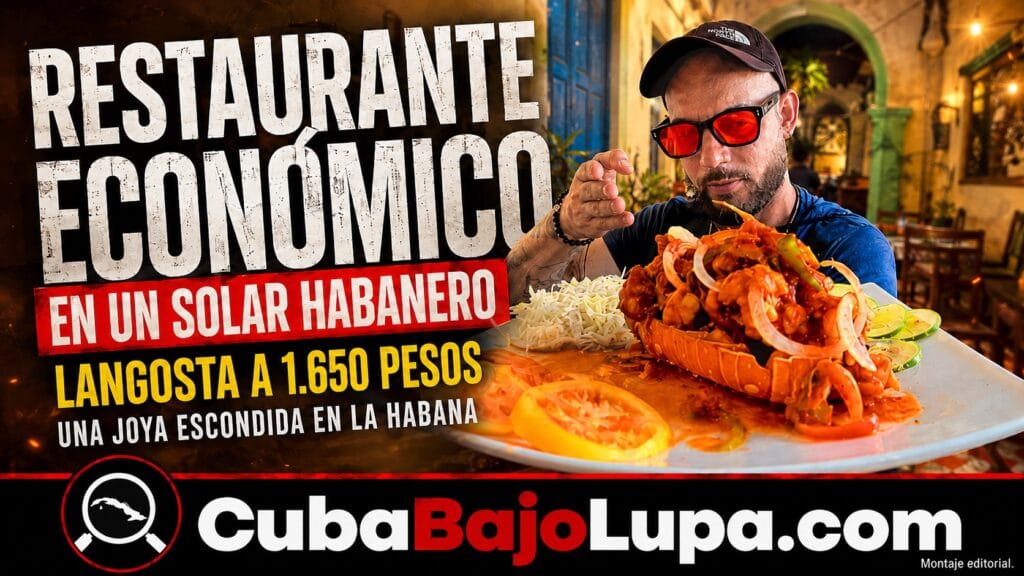 LANGOSTA A 1.650 PESOS EN LA HABANA: EL RESTAURANTE ESCONDIDO EN UN SOLAR QUE SORPRENDE POR SUS PRECIOS