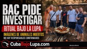 POLÉMICA EN CUBA: EXIGEN ACLARAR IMÁGENES DE NUMEROSOS ANIMALES MUERTOS, ENTRE ELLOS UN GATO, EN UNA CEREMONIO RELIGIOSA DE IFA