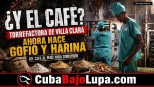 A FALTA DE CAFÉ, TORREFACTORA EN CUBA AHORA TUESTA Y MUELE MAÍZ, SORGO Y ARROZ PARA NO CERRAR SUS PUERTAS PARA SIEMPRE