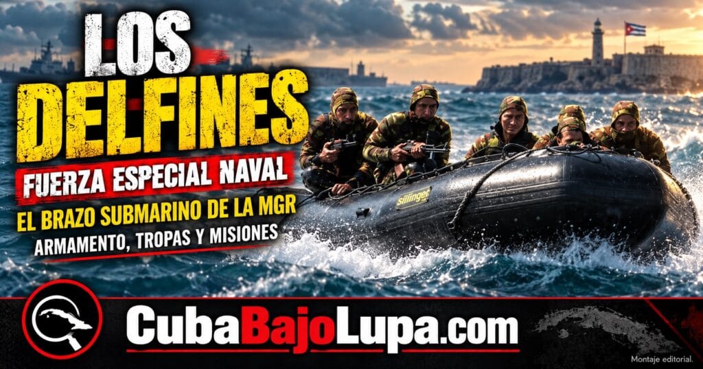 LOS DELFINES DE CUBA: LOS MISTERIOSOS COMANDOS SUBMARINOS QUE EL MINFAR NUNCA MUESTRA
