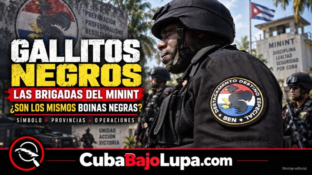 GALLITOS NEGROS: EL NOMBRE QUE ESCONDE A LAS BRIGADAS ESPECIALES DEL MININT QUE MUCHOS CONFUNDEN CON LOS BOINAS NEGRAS