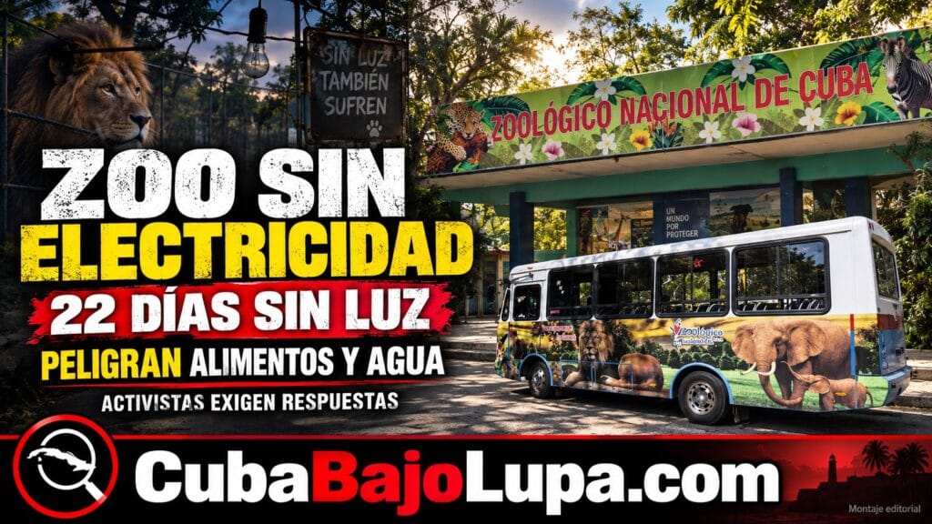 DENUNCIAN 22 DÍAS SIN ELECTRICIDAD EN EL ZOOLÓGICO NACIONAL DE CUBA Y CRECE LA PREOCUPACIÓN POR LOS ANIMALES