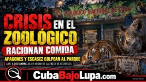 CRISIS EN EL ZOOLÓGICO NACIONAL DE CUBA: RACIONAN COMIDA DE LOS ANIMALES Y FRENAN LA REPRODUCCIÓN PARA EVITAR QUE MUERAN DE HAMBRE