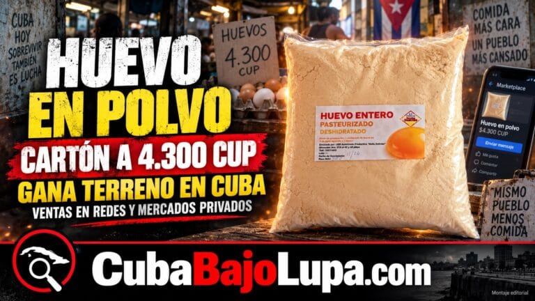 HUEVO EN POLVO GANA TERRENO EN CUBA MIENTRAS UN CARTÓN TRADICIONAL YA CUESTA HASTA 4.300 PESOS