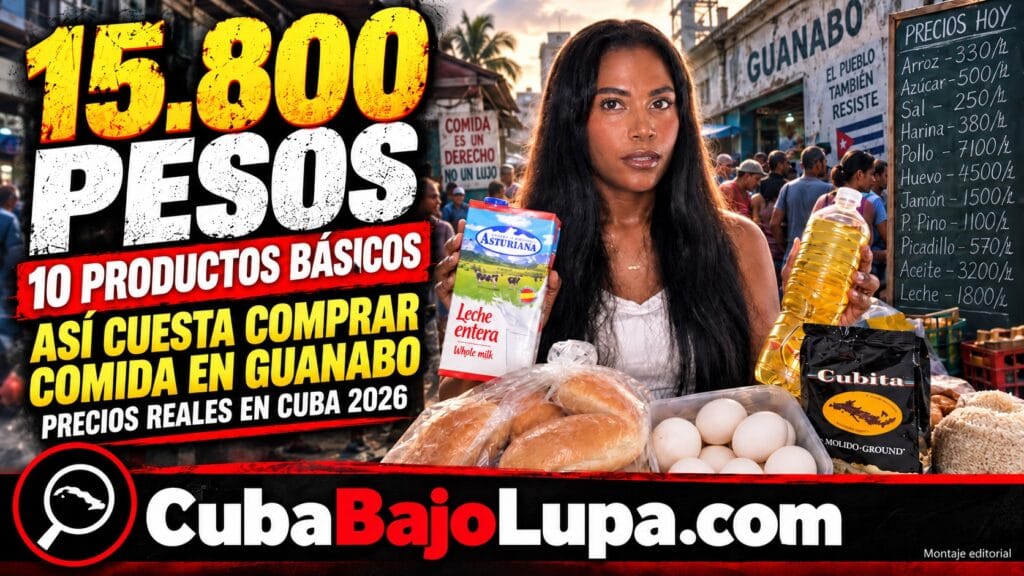 HUEVOS, ARROZ, ACEITE Y POLLO: LA CUENTA FINAL DE UNA COMPRA COTIDIANA EN CUBA SORPRENDE