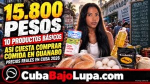 HUEVOS, ARROZ, ACEITE Y POLLO: LA CUENTA FINAL DE UNA COMPRA COTIDIANA EN CUBA SORPRENDE