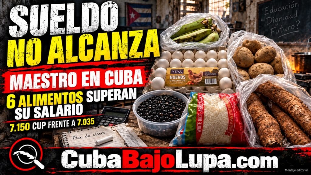 HUEVOS, ARROZ, FRIJOLES Y VIANDAS: SEIS PRODUCTOS SUPERAN EL SUELDO MENSUAL DE UN MAESTRO EN CUBA