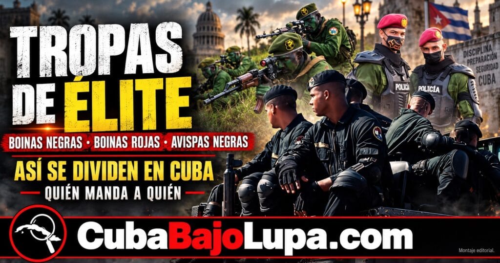 BOINAS NEGRAS, BOINAS ROJAS Y AVISPAS NEGRAS: ASÍ SE DIVIDE EL BRAZO DE ÉLITE ARMADO EN CUBA